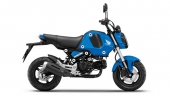 Honda Grom Blue